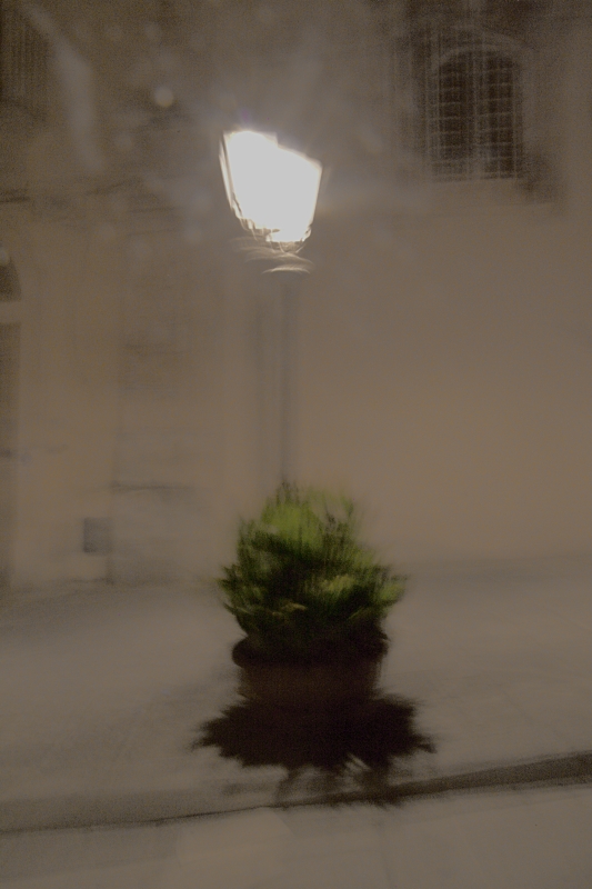 Tutte le sere sotto quel fanal presso la caserma ti stavo ad aspettar. Anche stasera aspetter�, e tutto il mondo scorder� con te, Lili Marleen .....