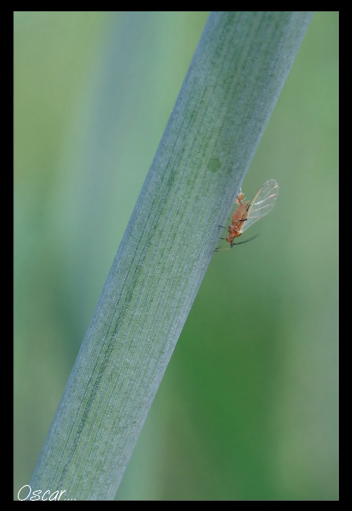 io ed il mio piccino...