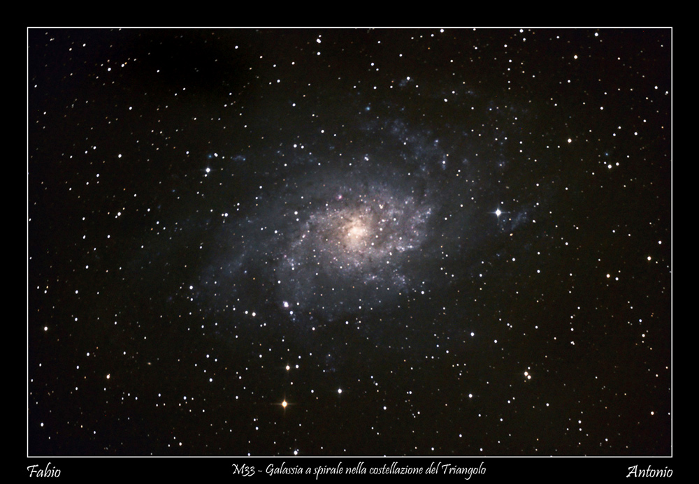 M33