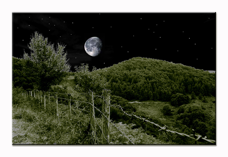 Tra finzione e realt�