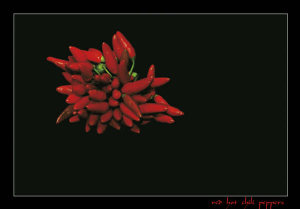 red-hot-chili-peppers