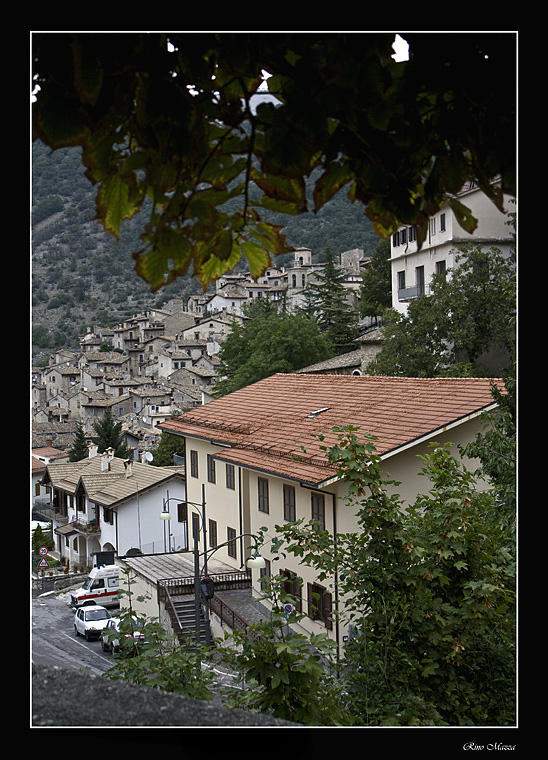 Curiosando tra le fronde