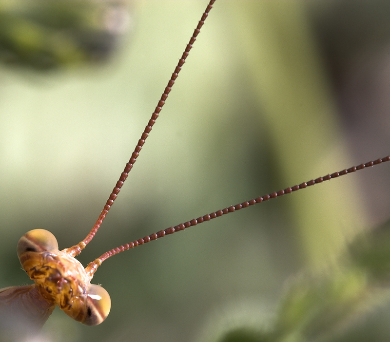 is there anybody out there?