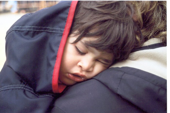 Festa del Pit� 2004 (particolare del pubblico)