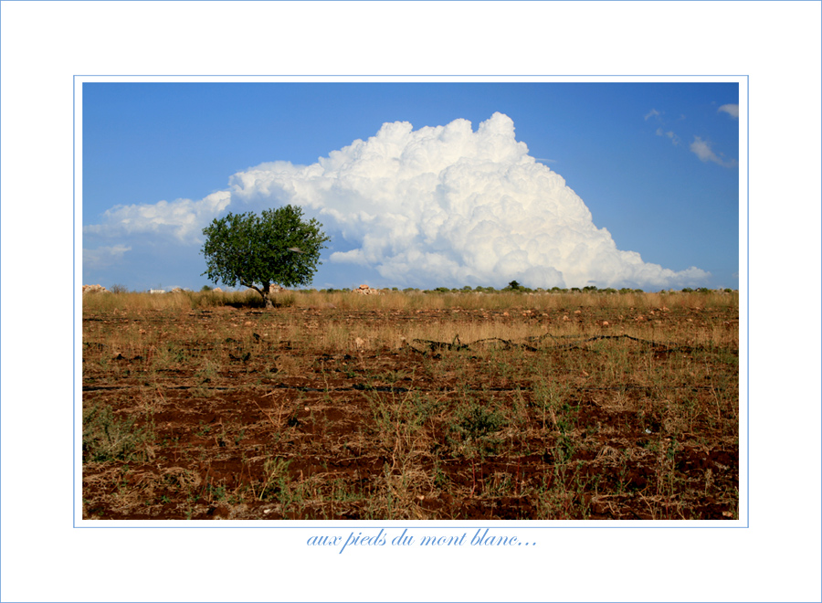 ai piedi..del monte bianco