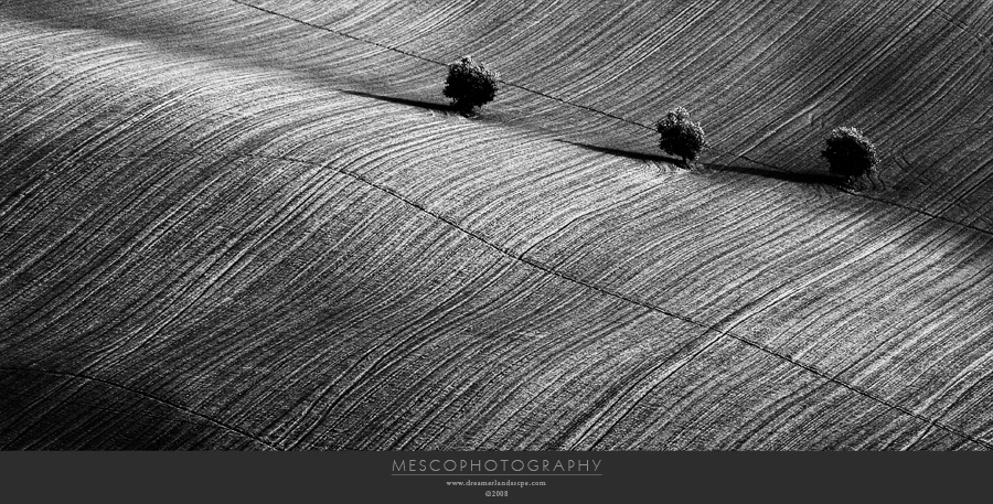 Paesaggio Sfiammingo