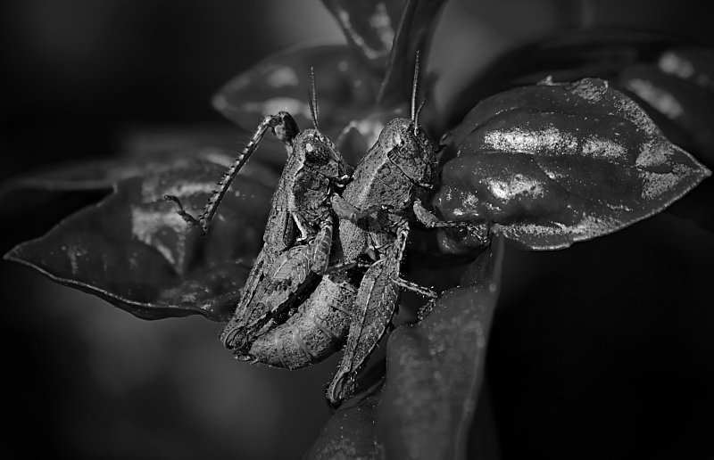 Momenti di intimit�...