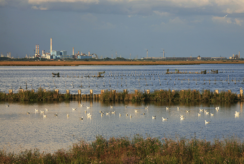la carezza della sera