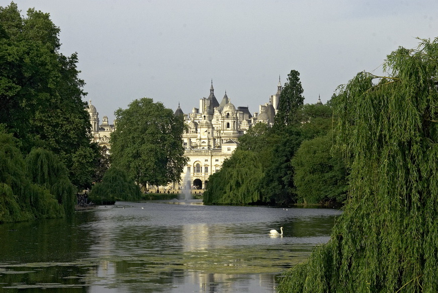15 il cigno il laghetto il palazzo