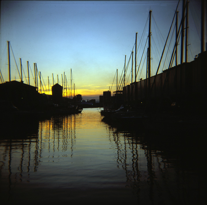 Da Genova con la mia Diana #3