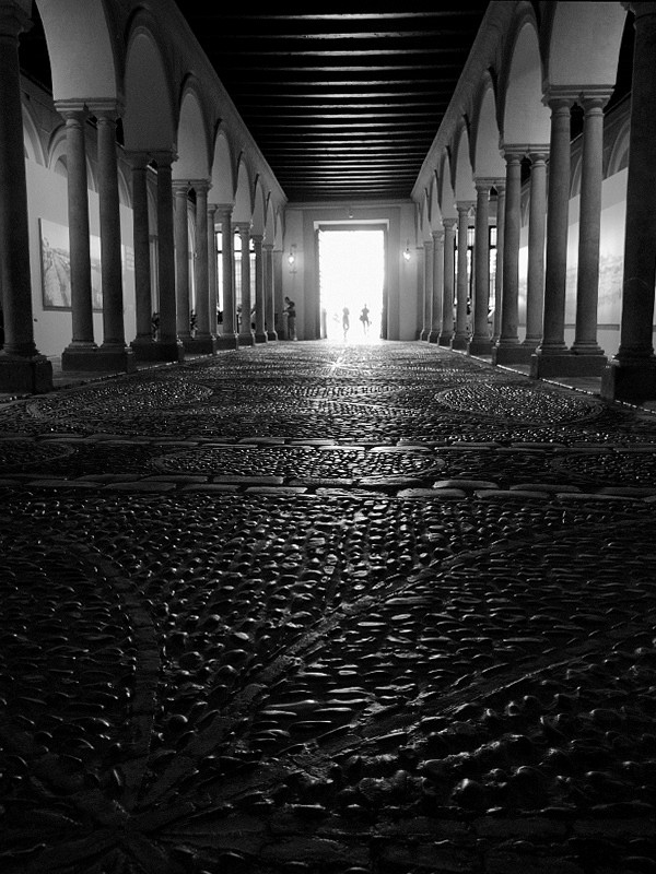 tra Siviglia e Granada n.7