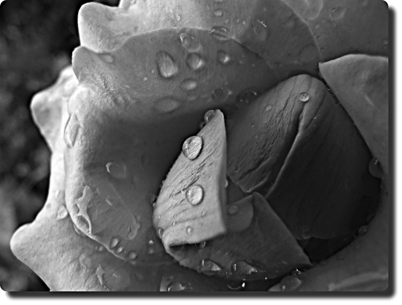 Lacrime di pioggia...