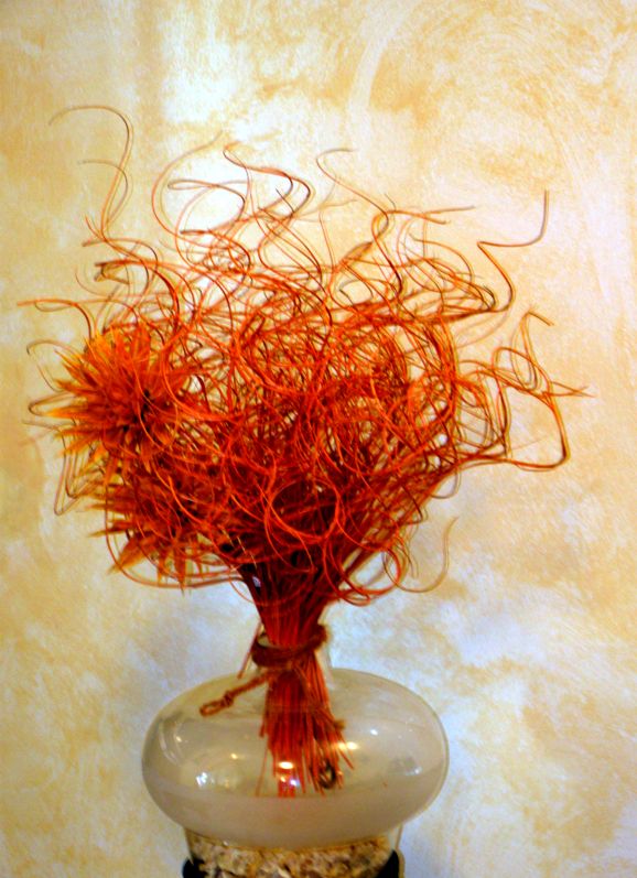 prova d' inquadratura