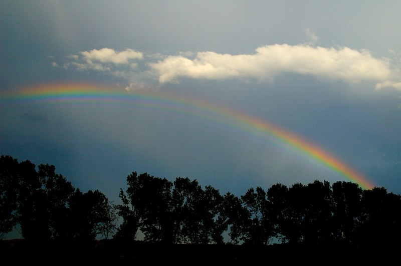 Arcobaleno 2