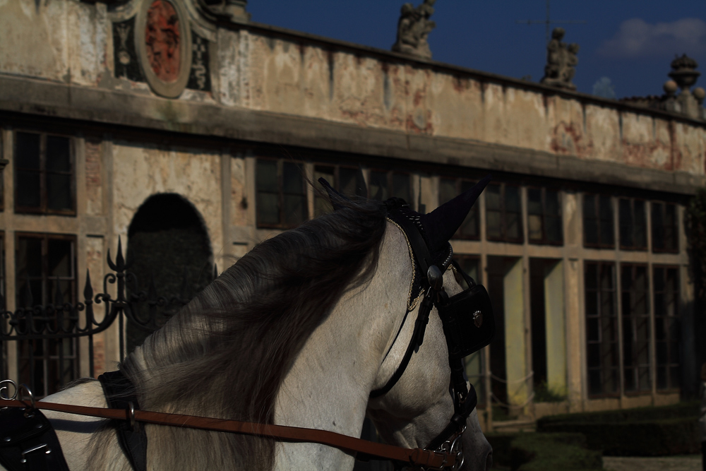 Domenica a Castellazzo