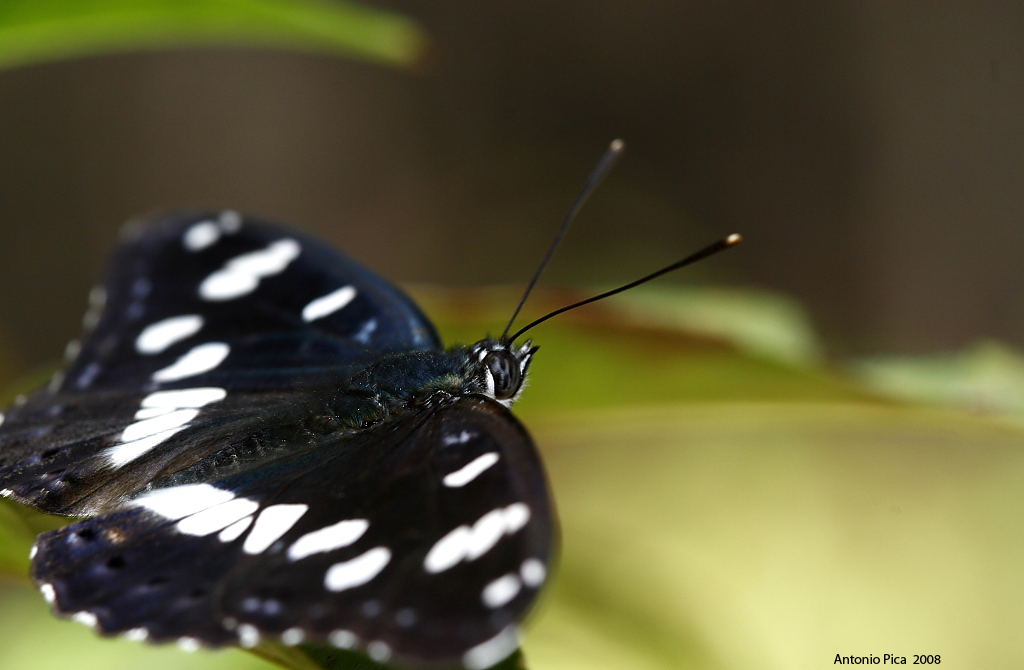 Mi sono riposata abbastanza