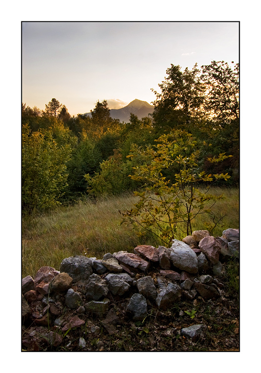 E Ti Vengo a Cercare