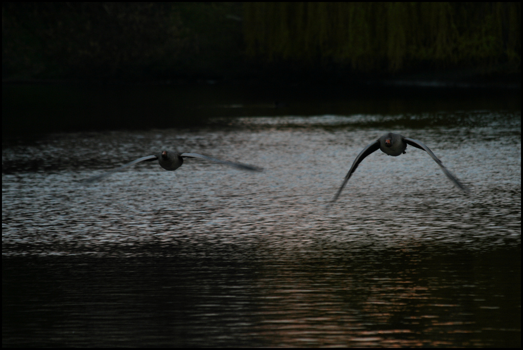 Take Off