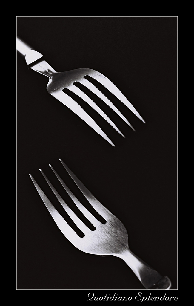 Quotidiano Splendore