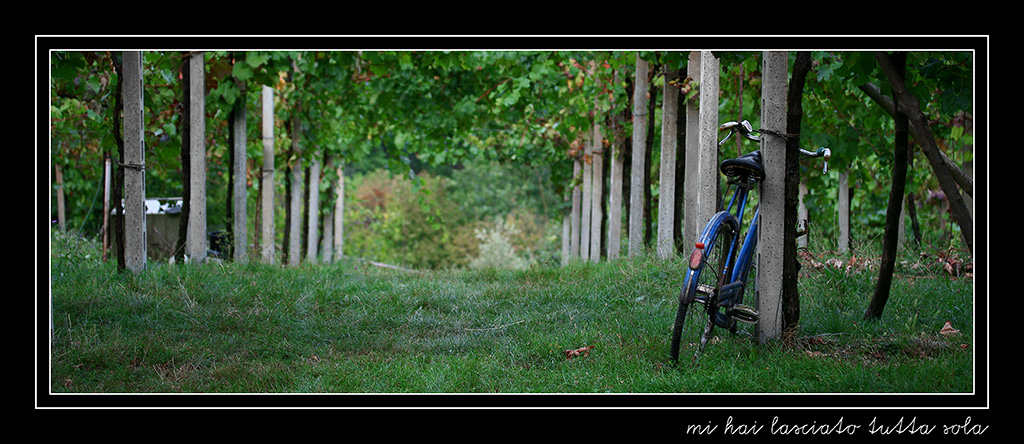 mi hai lasciato tutta sola