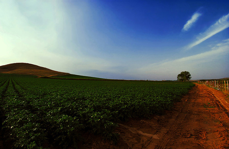 I want to break free