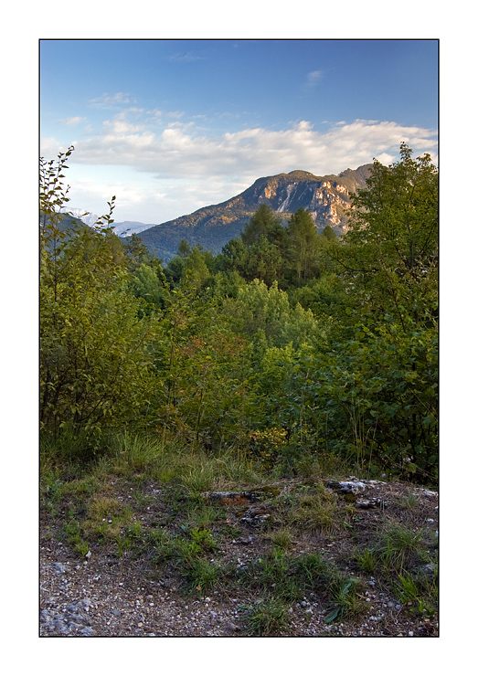 Non Voglio Tornare #6