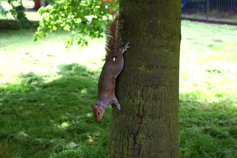 Forza di gravit�...non mi avrai!