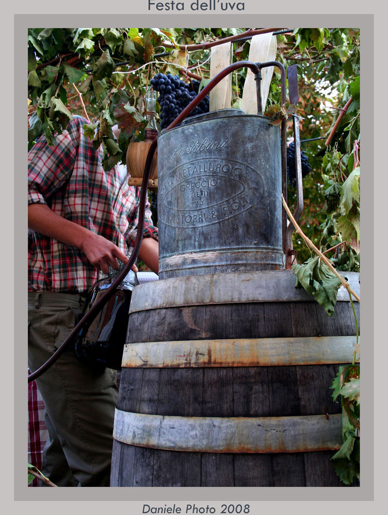 festa dell'uva