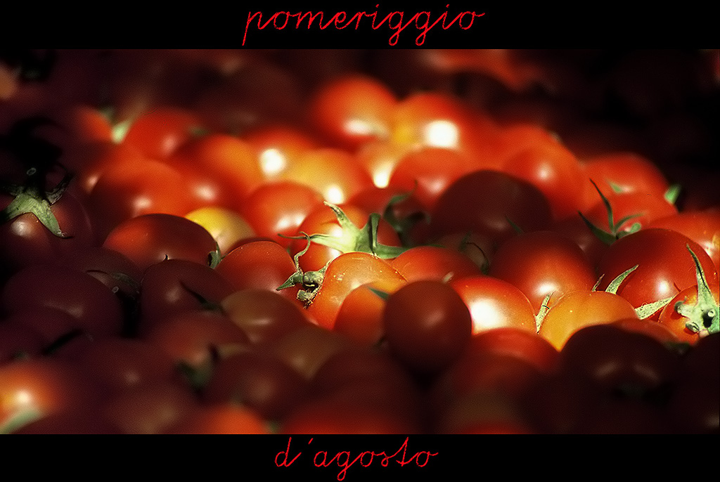 pomeriggio d'agosto II