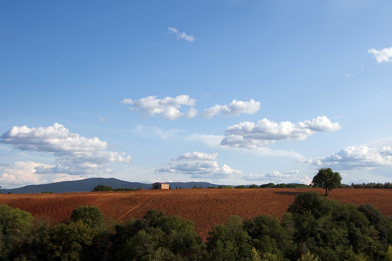 Terre di Siena