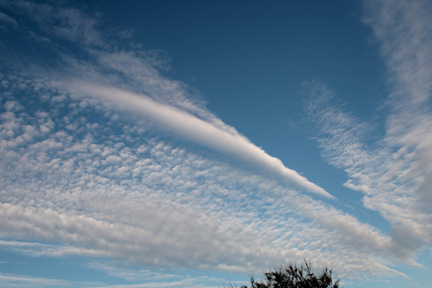 the great gig in the sky