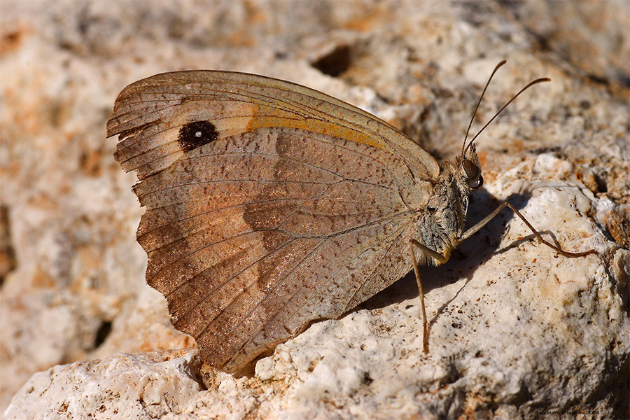 Giorni...vissuti !!!