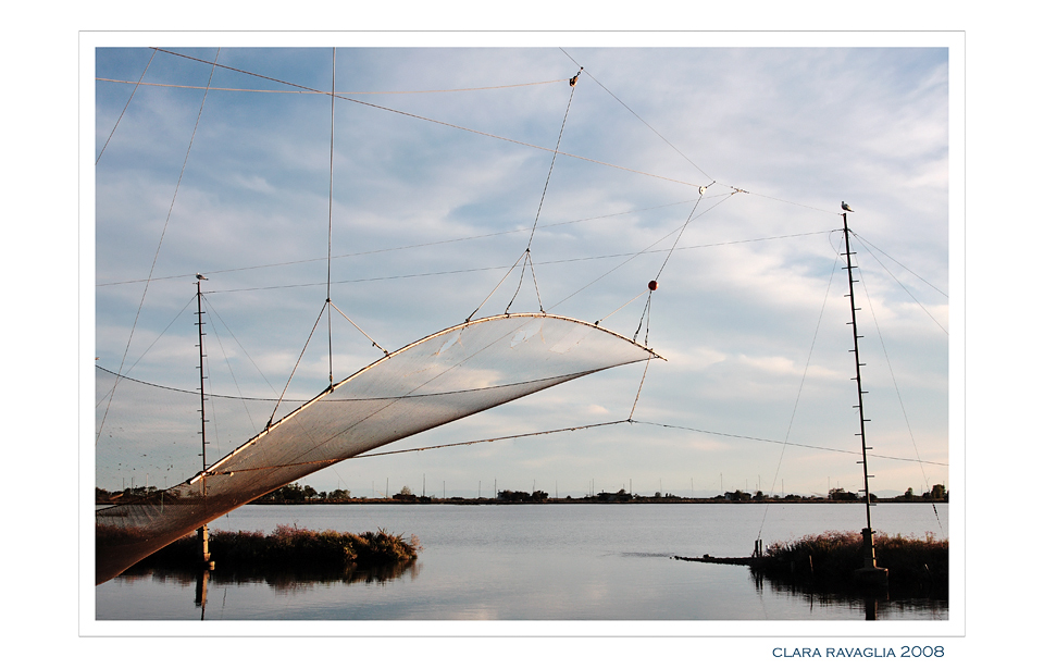 Un apostrofo.. aureo