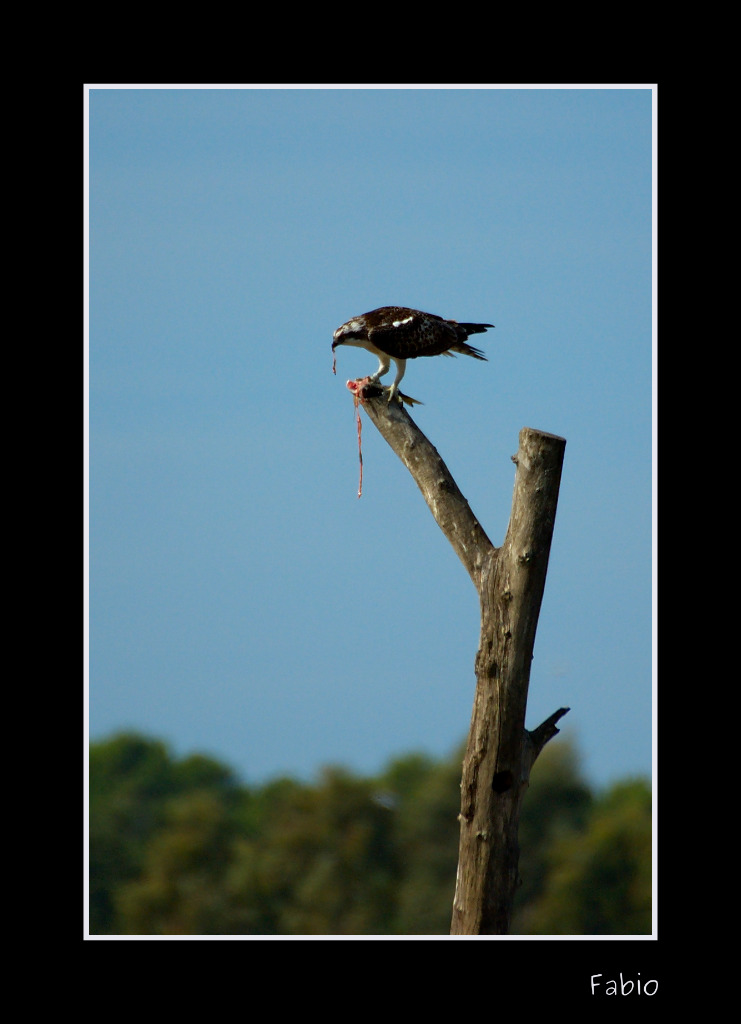 Non si getta via niente