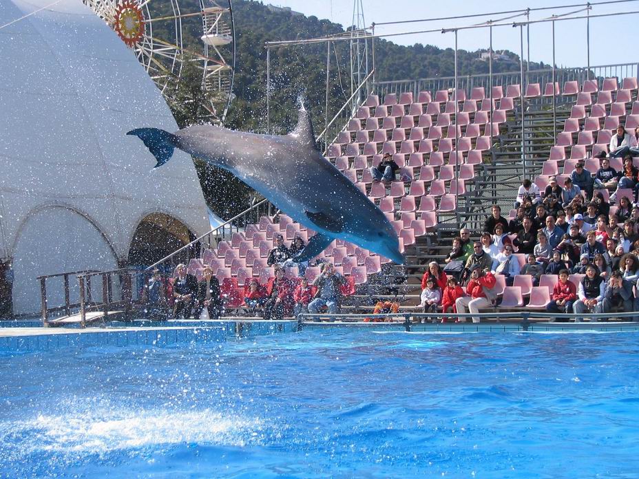 UN MAMMIFERO DUOR D'ACQUA