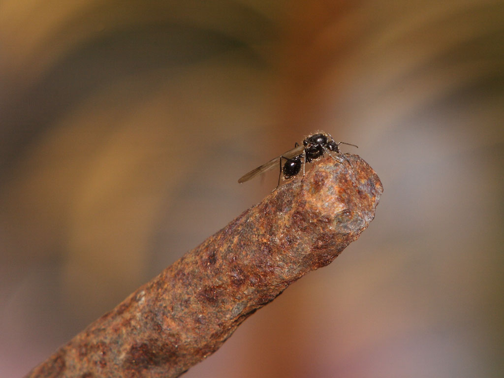 Uff.. pant... che fatica!