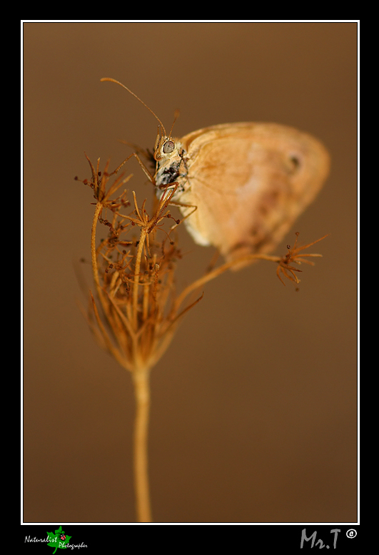 Ultimo sole del giorno!