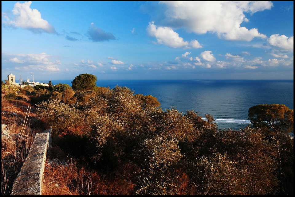 Dalla cima del Carmelo...