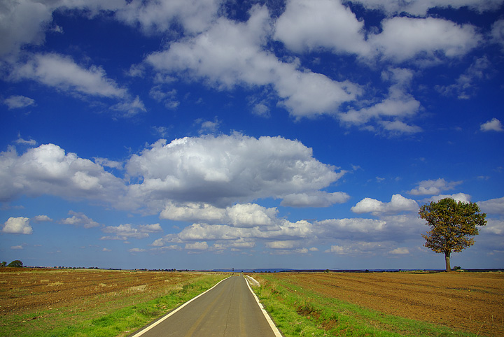 semplice paesaggio con strada, albero e cielo