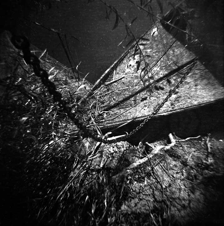 Immagini dal padule #1