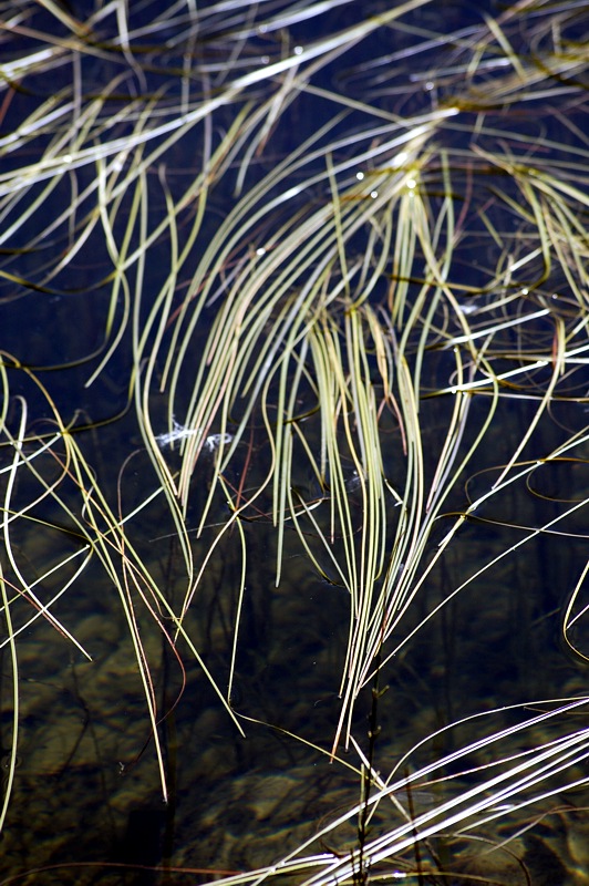 Geometrie della natura 2