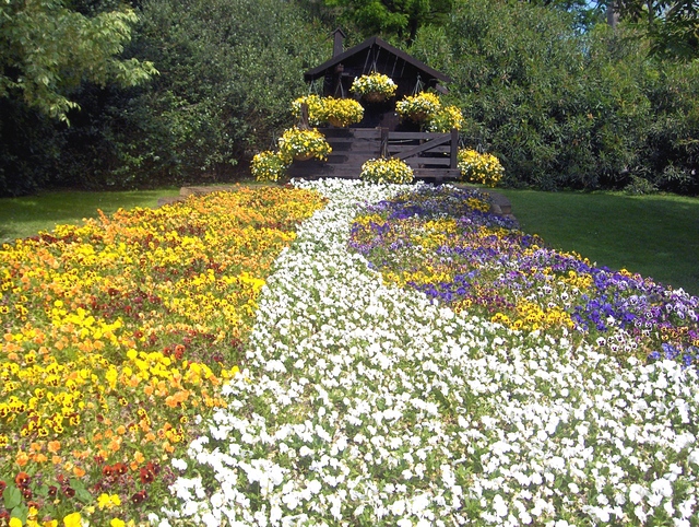 Sentiero ..... fiorito.