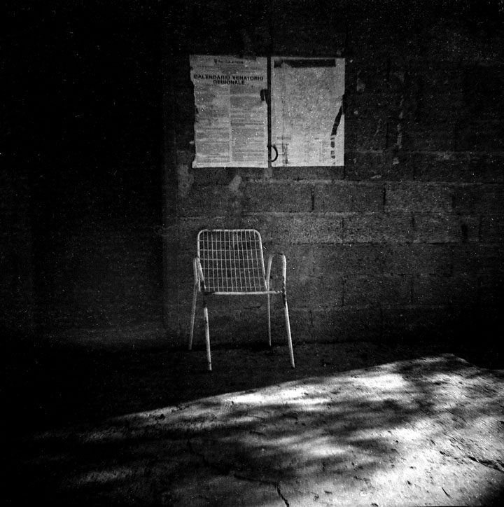 Immagini dal padule #2