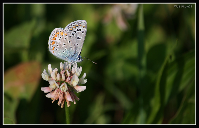 come mi chiamo?aiutatemi ho perso la memoria