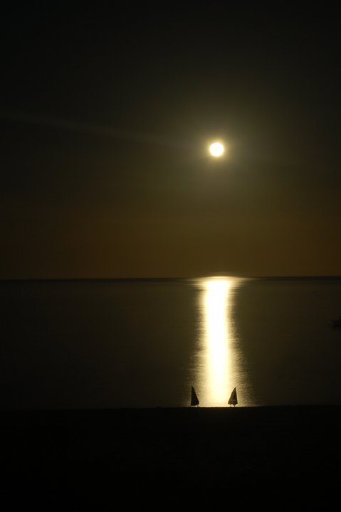 Mediterranean Nights