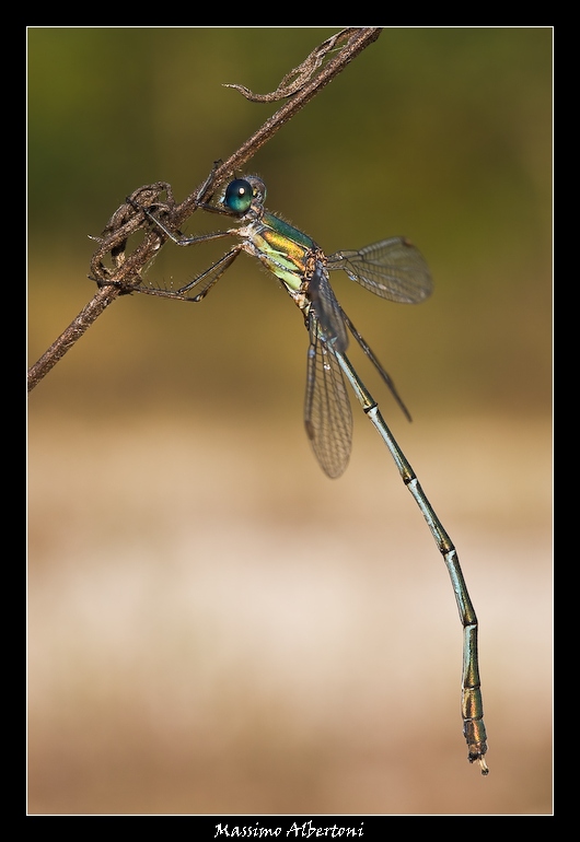 Scendo alla prossima!