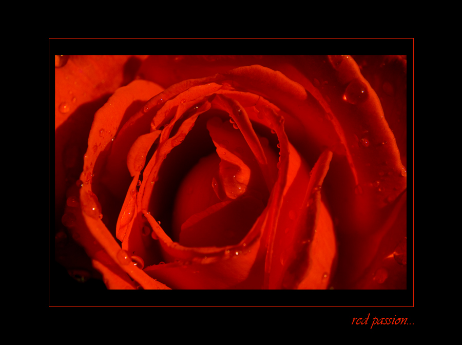 red passion...