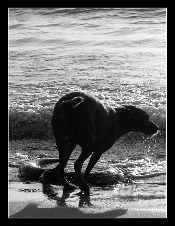 Spiaggia di autunno...