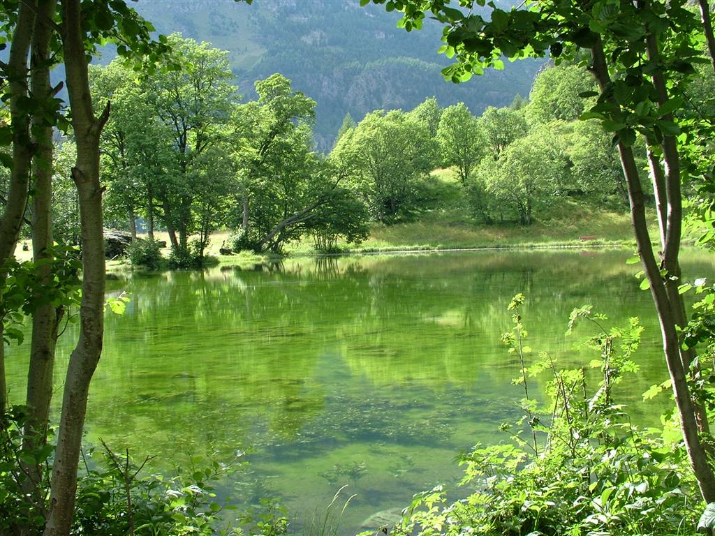 LAGO LOZ IMMERSO NEL VERDE