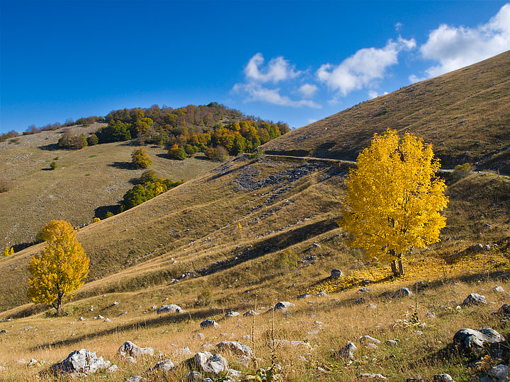 Autunno nel PNA